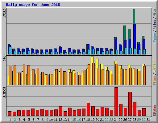 Daily usage for June 2013