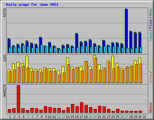 Daily usage for June 2021