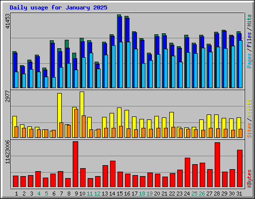 Daily usage for January 2025