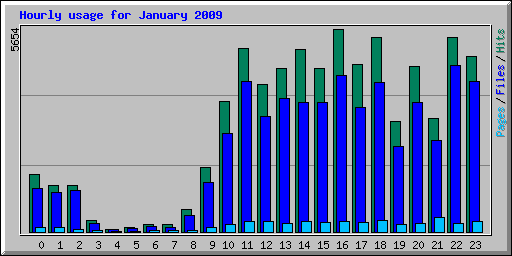 Hourly usage for January 2009