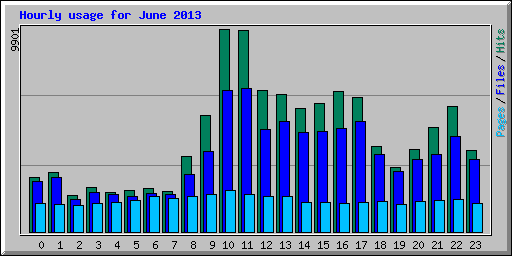 Hourly usage for June 2013