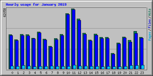 Hourly usage for January 2019