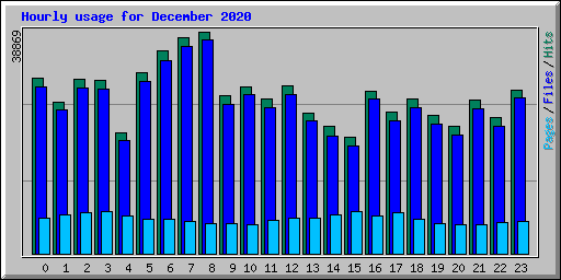 Hourly usage for December 2020