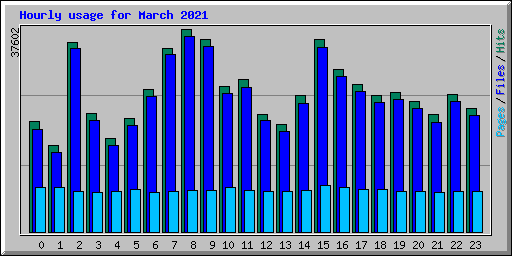 Hourly usage for March 2021