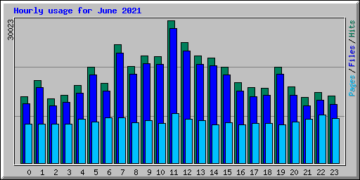 Hourly usage for June 2021