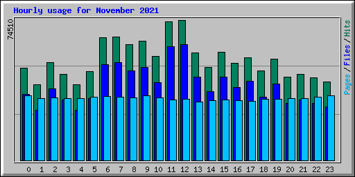 Hourly usage for November 2021