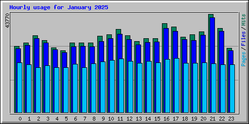 Hourly usage for January 2025