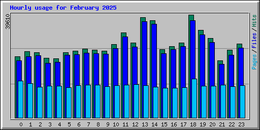 Hourly usage for February 2025