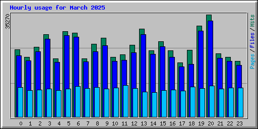 Hourly usage for March 2025