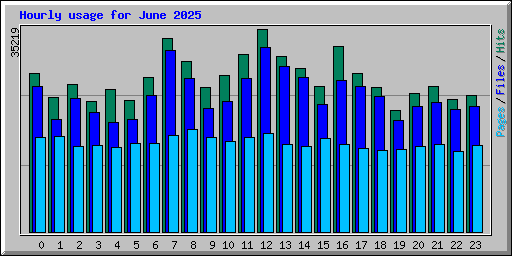 Hourly usage for June 2025