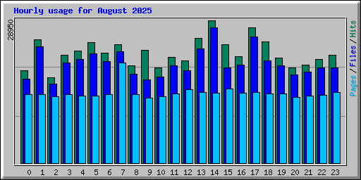 Hourly usage for August 2025