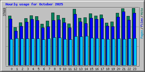 Hourly usage for October 2025