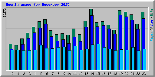Hourly usage for December 2025