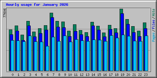 Hourly usage for January 2026